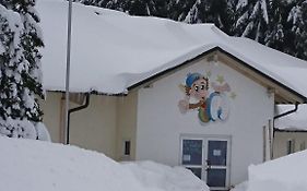 Graf's Apartment Sankt Englmar